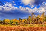 Autumn Landscape_28209-10